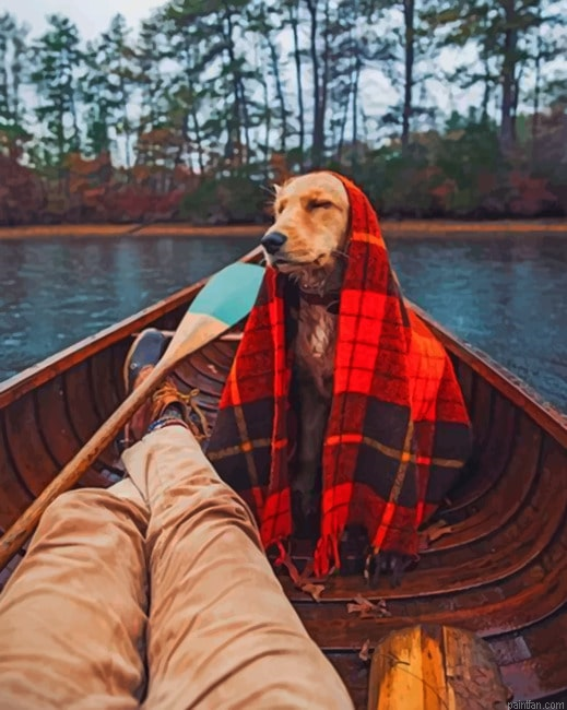 Dog In Boat With Blanket New Paint By Numbers.png