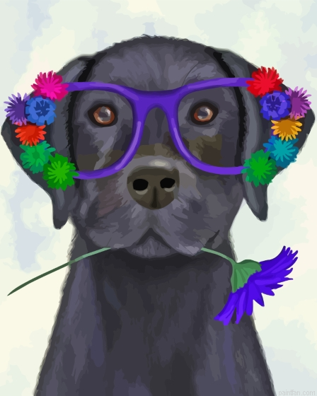 Dog In Glasses Paint By Numbers.png