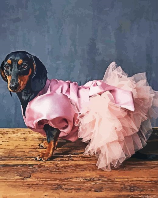 Dog In Pink Dress Paint By Numbers.png