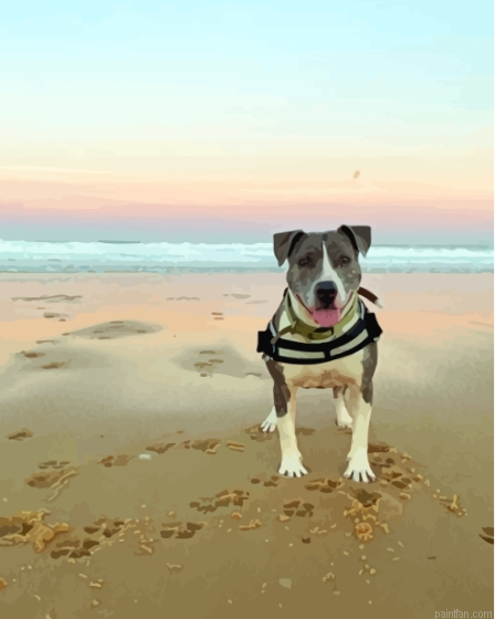 Dog In The Beach Paint By Numbers.png