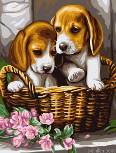 Dog Puppies Paint By Numbers.png