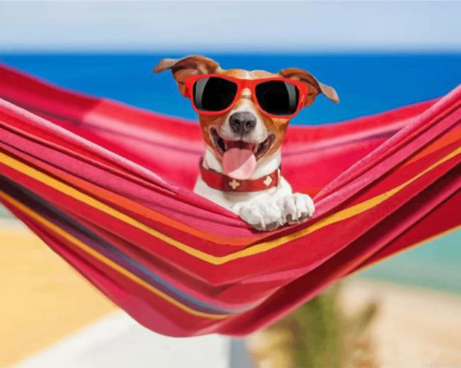 Dog Wearing Sunglasses Paint By Number.png