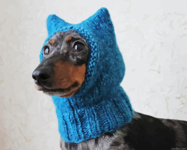 Dog With Blue Hat Paint By Numbers.png