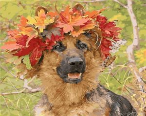 Dog With Flowers Paint By Numbers.png