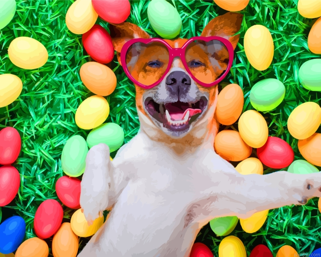Dog With Sunglasses Paint By Number.png
