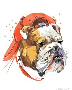 Dog With Hat Paint By Numbers.png