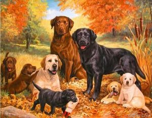 Dogs Family Paint By Numbers.png