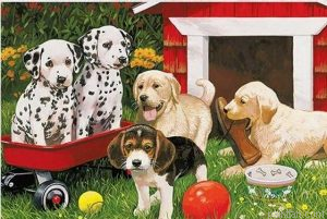 Dogs In Backyard Paint By Numbers.png
