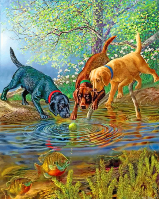 Dogs Playing Paint By Number.png