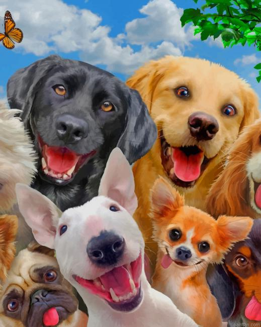 Dogs Selfie New Paint By Numbers.png