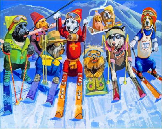 Dogs Skiing In Snow Paint By Numbers.png