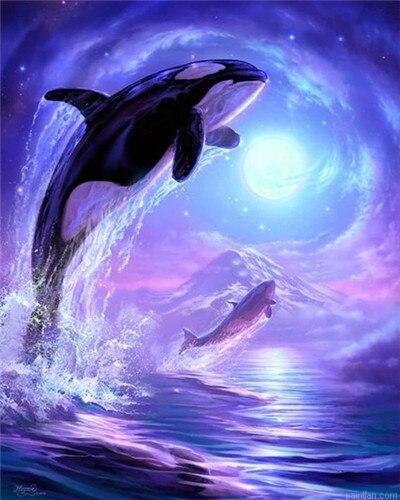 Dolphin In Sea Paint By Numbers.png