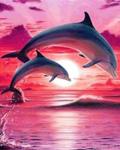 Dolphin Sunset Paint By Numbers.png