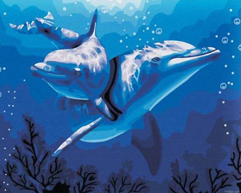 Dolphins In Water Paint By Numbers.png