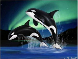 Dolphins Playing Paint By Numbers.png
