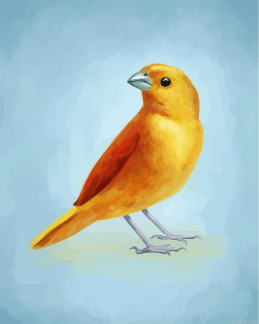 Domestic Canary Bird Paint By Number.png
