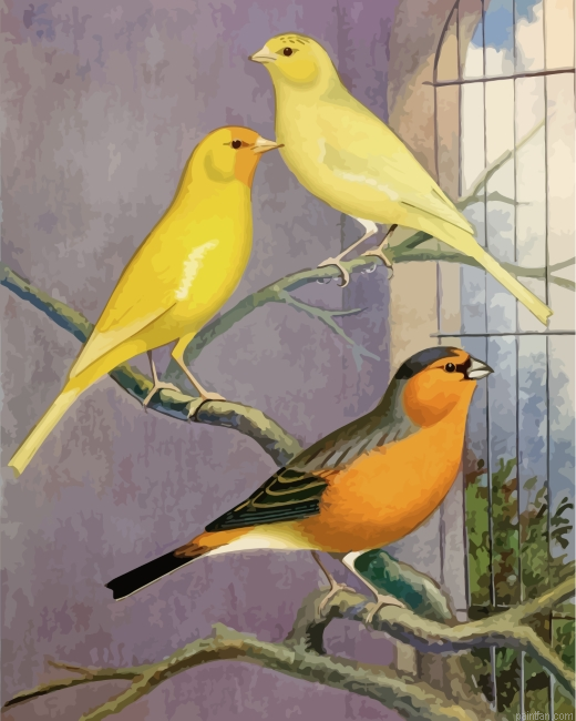 Domestic Canary Paint By Number.png