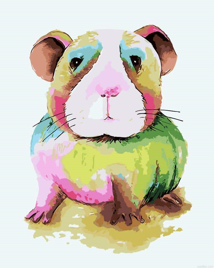 Domestic Cavy Paint By Numbers.png