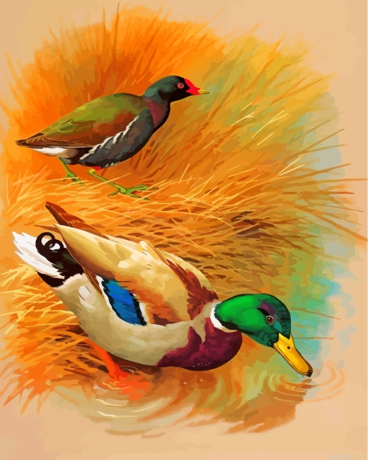 Domestic Ducks Paint By Number.png
