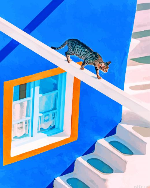 Domestic Short Haired Cat In Thira Paint By Numbers.png