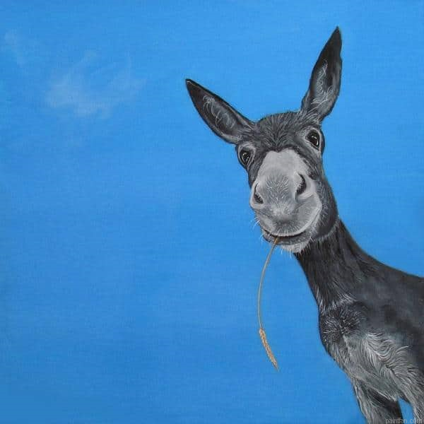Donkey Portrait Paint By Numbers.png