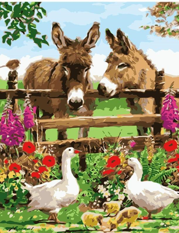 Donkeys In Farm Paint By Numbers.png