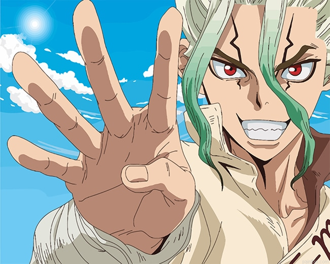 Dr Stone Senku Ishigami New Paint By Numbers.png