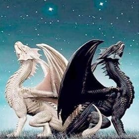 Dragon Twins Paint By Numbers.png