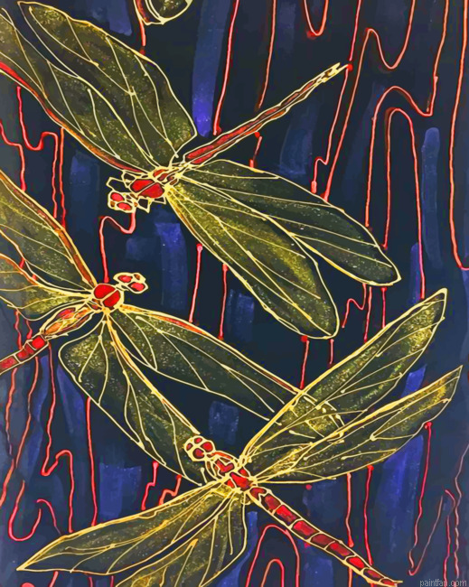 Dragonflies Paint By Numbers.png