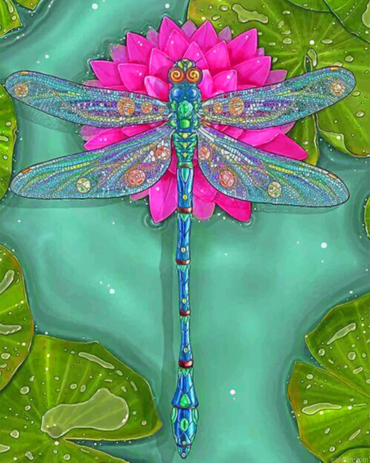 Dragonfly Illustration Paint By Numbers.png
