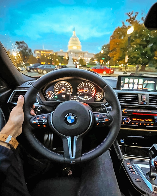 Driver Holding Bmw Steering Wheel New Paint By Numbers.png