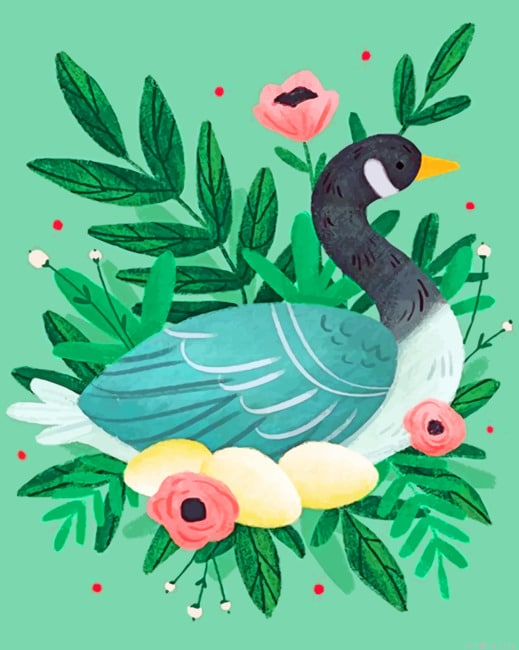 Duck Illustration Birds Paint By Numbers.png