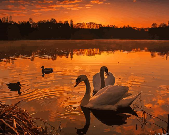 Ducks Sunset Paint By Numbers.png