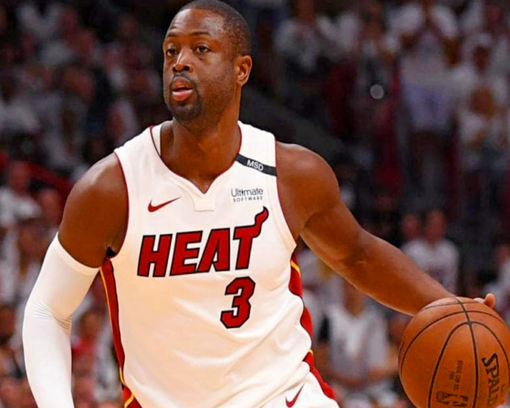 Dwyane Tyrone Wade Jr Paint By Number.png