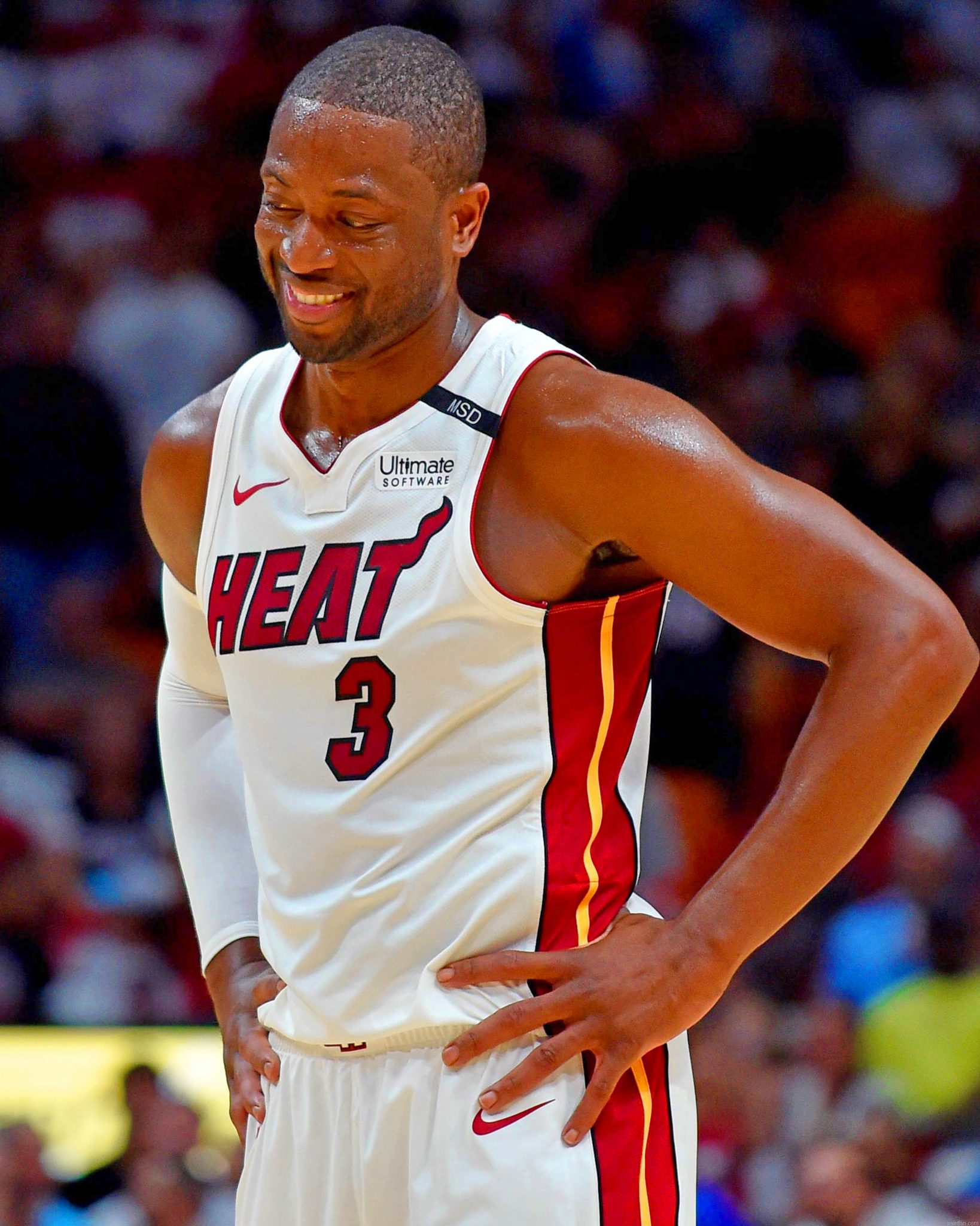 Dwyane Wade Jr Paint By Number.png