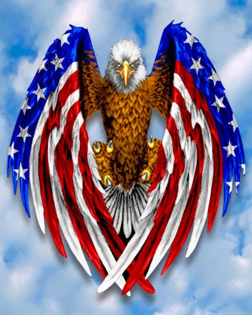 Eagle American Flag New Paint By Numbers.png