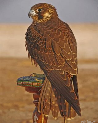 Eagle Desert Bird Paint By Number.png