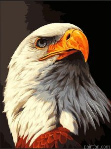 Eagle Eye Paint By Numbers.png
