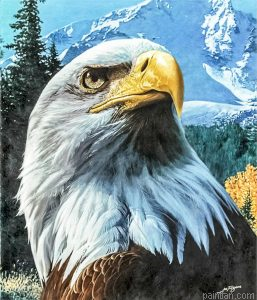 Eagle Looking Up Paint By Numbers.png