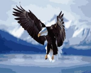 Eagle Wings Paint By Numbers.png