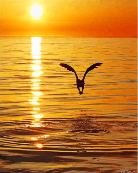 Eagle With Sunrise Paint By Numbers.png