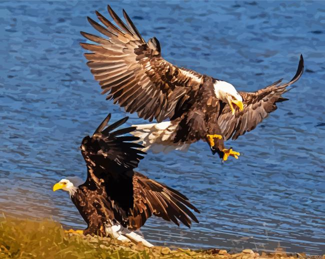 Eagles On The River Paint By Numbers.png