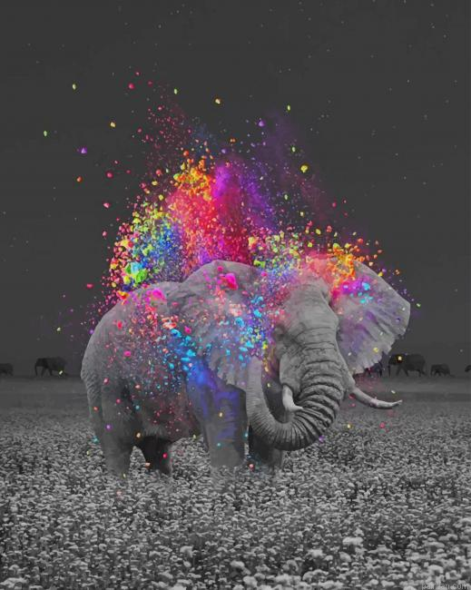 Elephant And Colors New Paint By Numbers.png