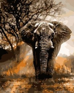 Elephant Animal Paint By Numbers.png