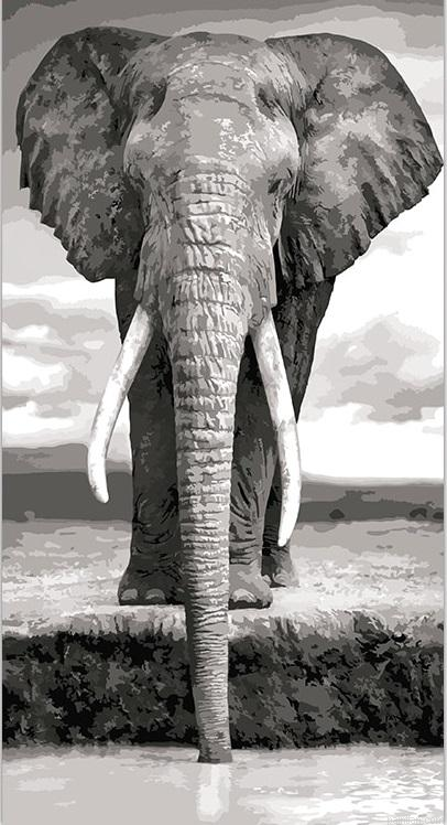 Elephant Animals Paint By Numbers.png