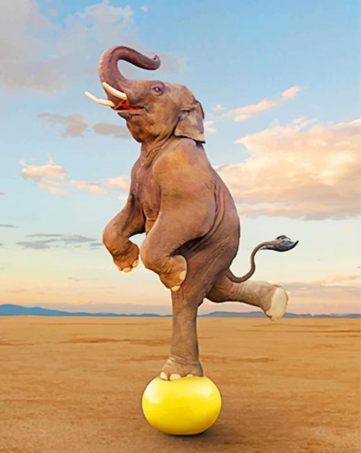 Elephant Balancing Paint By Number.png