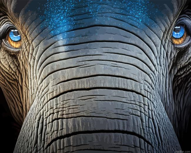 Elephant Eyes Paint By Numbers.png