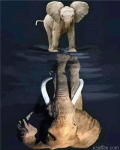 Elephant Reflection Paint By Numbers.png