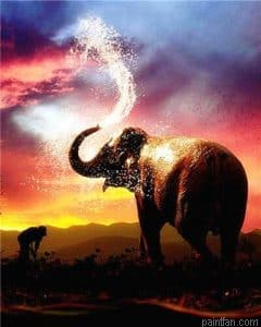Elephant Sunset Paint By Numbers.png