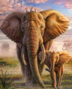 Elephant With Cub Paint By Numbers.png